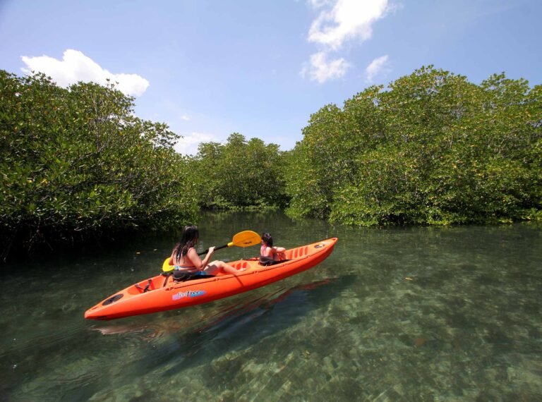 Kayaking and Speed Boat Tours in Coron