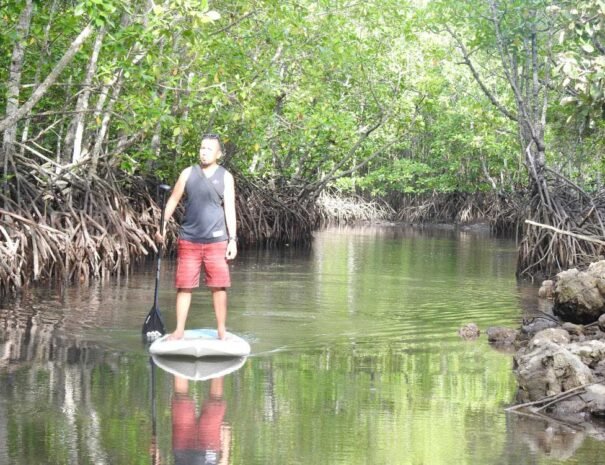 River Standup Paddle Boarding